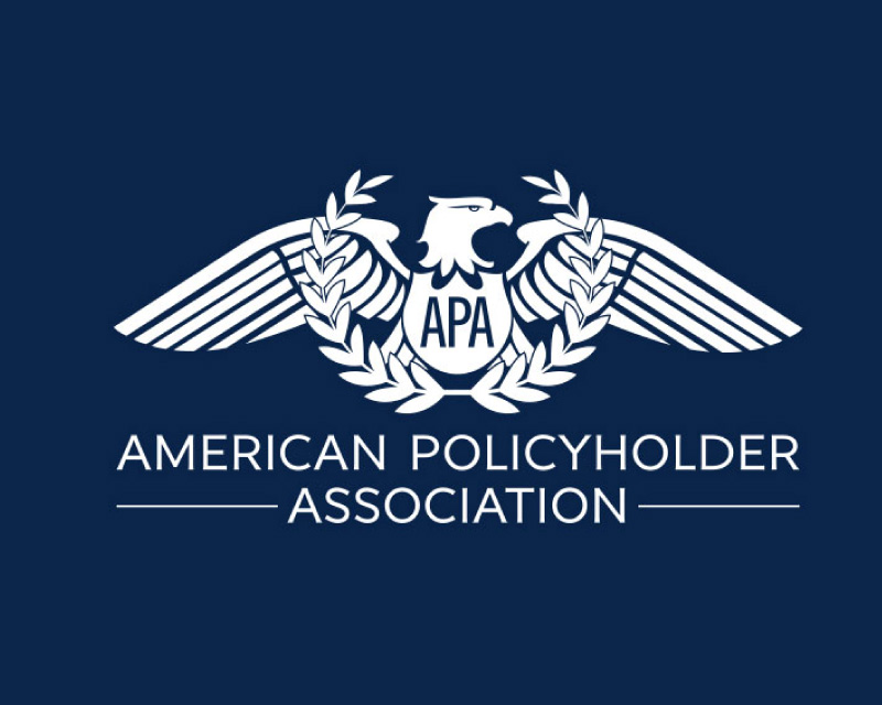 APA Logo