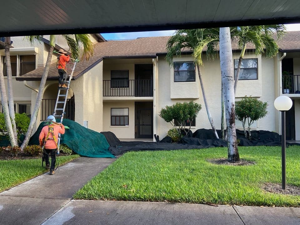 2 men on a ladder working on the roof of a house