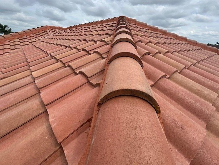 Close-up of terracotta roof tiles under a cloudy sky.